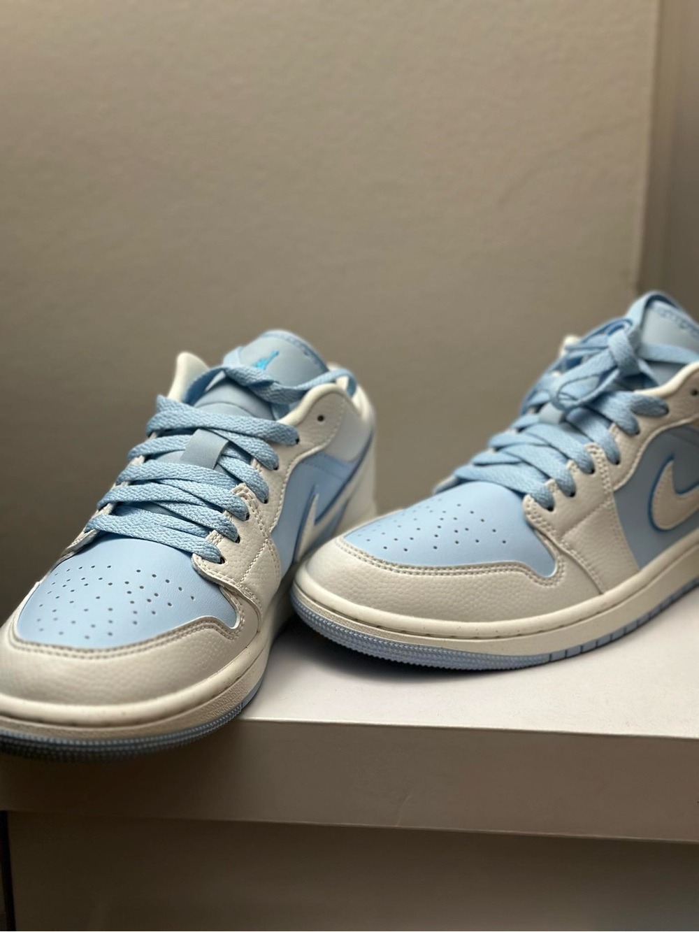 Jordan 1 low se